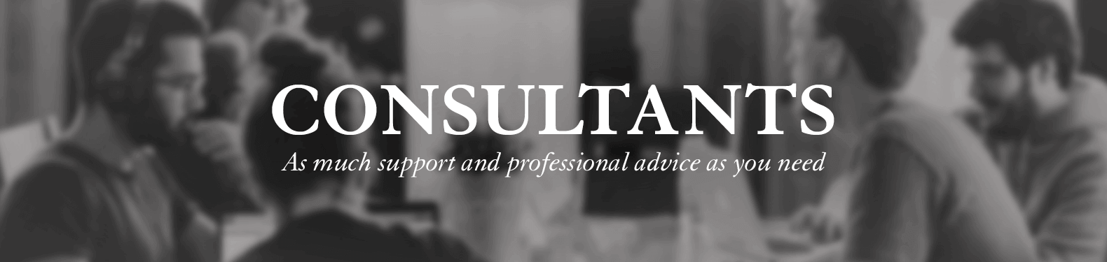Consultants