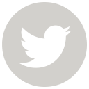 Twitter Logo